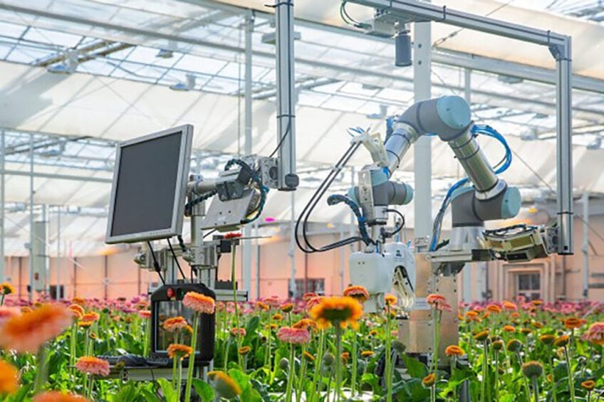 Майбутнє для сучасного збирання квітів: представлення робота-збирача квітів