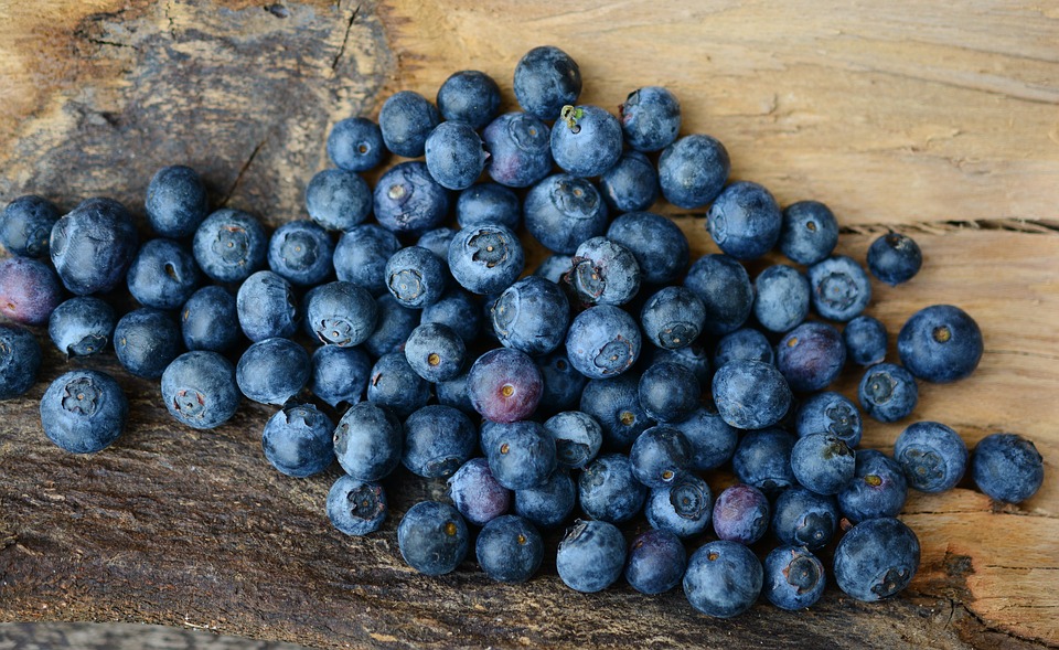 blueberries-2270379_960_720.jpg