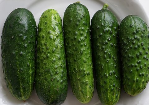 cucumbers-2240307_340.jpg