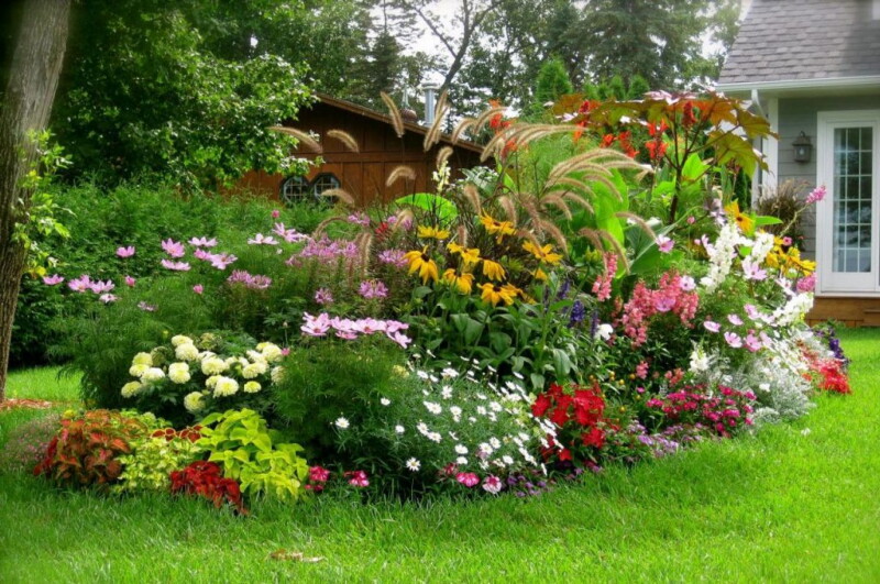 Найкрасивіші чагарники для вашого саду