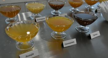 На Львівщині відкрили перший завод із переробки меду Рис.1
