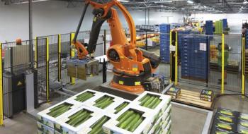 Зелений трудяга: в Голландії розробили унікального робота-пакувальника огірків Рис.1