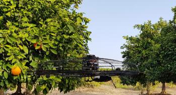 Ізраїльські розробники створили дрон для садівництва Рис.1