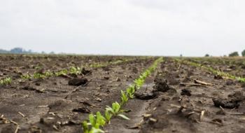Посівна-2019: Аграрії в 7 областях розпочали сівбу цукрових буряків Рис.1