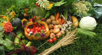 Українські аграрії встановили історичний рекорд врожайності Рис.1