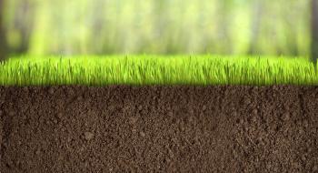 В НААН проаналізували стан ґрунтів за екологічними індикаторами зеленого зростання Рис.1