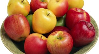 Все більше українських садівників експортує яблуко напряму внаслідок недовіри до посередників-експортерів Рис.1
