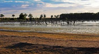 Солоне землеробство - нова практика в умовах мінливого клімату Рис.1