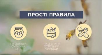 Створено ролик про профілактику отруєння бджіл Рис.1