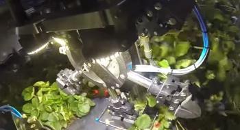 У США створили роботів для збору полуниці Рис.1