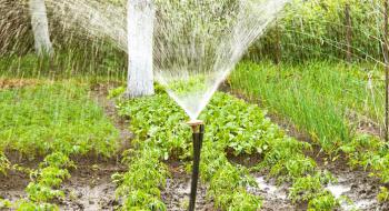 В Україні визначили норми витрати води для поливу теплиць і городів Рис.1