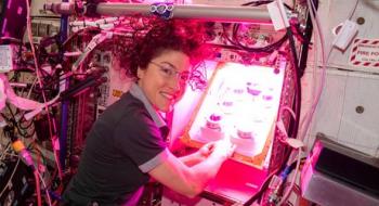 NASA проводить експеримент з вирощування рослин у космосі Рис.1