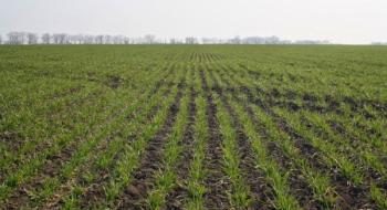 Посівна-2019: В Україні засіяно 6,3 млн га ярих зернових культур Рис.1