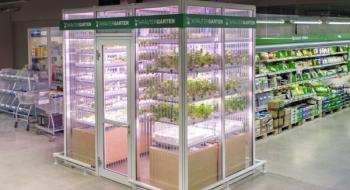 В німецьких торгових мережах овочі вирощують на очах споживачів Рис.1