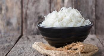 Виробництво рису в Україні збільшилось втричі Рис.1