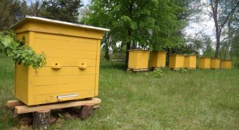 На Волині створили унікальну “школу бджоляра” Рис.1