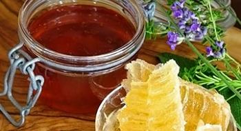 На Закарпатті виготовляють унікальні лікарські препарати з меду Рис.1