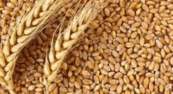 Україна вже до 2022 року буде вирощувати більше 100 млн тонн зерна Рис.1