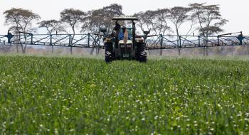 Вчені розробляють пестициди на основі природних сполук Рис.1