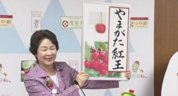 Японці вивели вишню з найбільшими в світі ягодами Рис.1