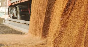 ДПЗКУ збільшує річні показники експорту зернових Рис.1