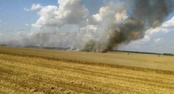 ДСНС : Щодня в Україні згорають десятки гектар зерна Рис.1