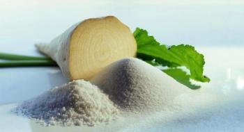 Компанія з Рівненщини вирощує екологічно чисті цукрові буряки для ринку ЄС Рис.1