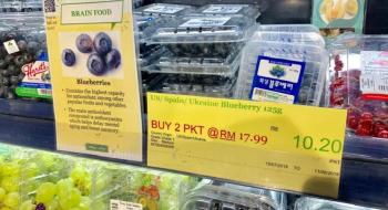 Україна експортувала перші партії свіжої лохини на ринок Малайзії Рис.1