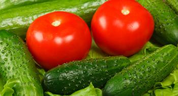 Україна продовжує збільшувати імпорт огірків і томатів Рис.1