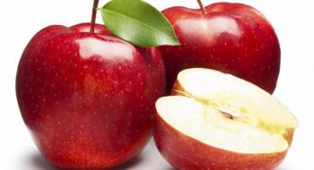 Українським виробникам яблук можуть відкрити ринок В'єтнаму - УПОА Рис.1