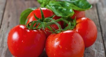 В Україні вартість помідорів встановила новий рекорд Рис.1