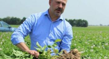 Вирощування органічної картоплі в Україні – шанс для малого бізнесу Рис.1