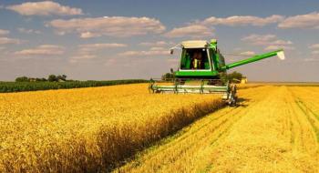Жнива-2019: вже зібрано 8,2 млн тонн зерна Рис.1