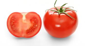 Знайдено ген пластикового смаку в помідорах Рис.1