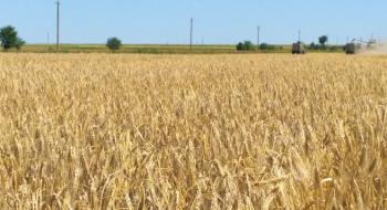 Аграрії Запоріжчини зібрали рекордний за часи незалежності врожай зерна Рис.1