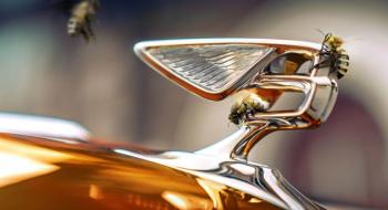 Bentley крім елітних авто буде випускати елітний мед Рис.1