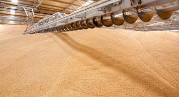 Філії ДПЗКУ прийняли на зберігання перші півмільйона тонн зернових Рис.1