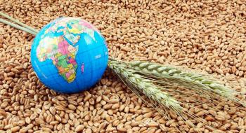 Україна відправила на експорт майже 7 млн т зерна Рис.1