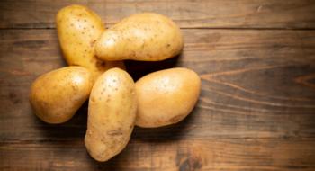 В ЄС змінилися основні країни-виробники картоплі Рис.1