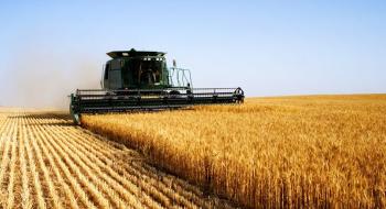Жнива-2019: В Україні зібрано майже 37 млн тонн зерна Рис.1