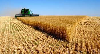 Жнива-2019: В Україні зібрано майже 40 млн тонн зерна Рис.1