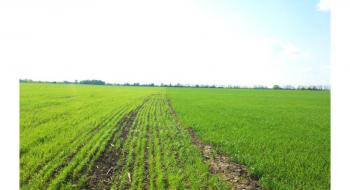 Аграріям пропонують вигідне і високоокупне рішення для підвищення врожайності зернових Рис.1