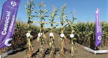 Аграріям розкажуть про переваги гібридів кукурудзи бренду UNIVERSEED Рис.1