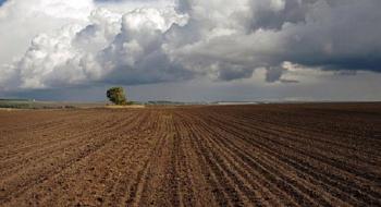 До 80% українських ґрунтів потерпають від нестачі поживних речовин — науковець Рис.1