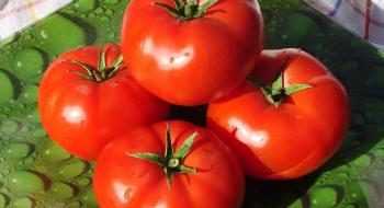 Експерт: Виробники преміального томату втратили ринки збуту Рис.1