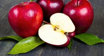 Фермери попередили: цьогоріч дешевих яблук не буде Рис.1
