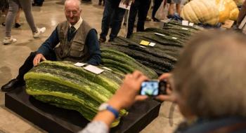 Гігантські овочі на конкурсі у Великобританії зламали ваги Рис.1