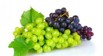 На півдні України викорчовують сотні гектарів виноградників Рис.1