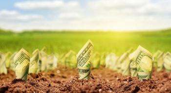 В Україні створять агенство гарантування кредитів для фінансування купівлі землі фермерами Рис.1