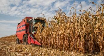 Жнива-2019: В Україні розпочато збирання кукурудзи Рис.1